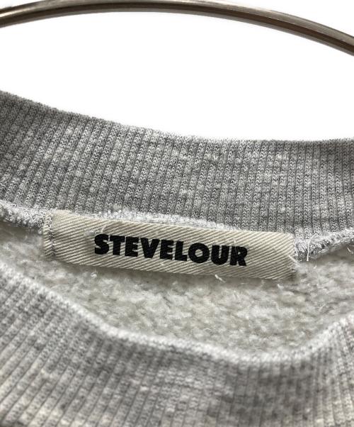 STEVELOUR（STEVELOUR）STEVELOUR (STEVELOUR) フラッフィースタンドプルオーバー グレー サイズ:Fの古着・服飾アイテム