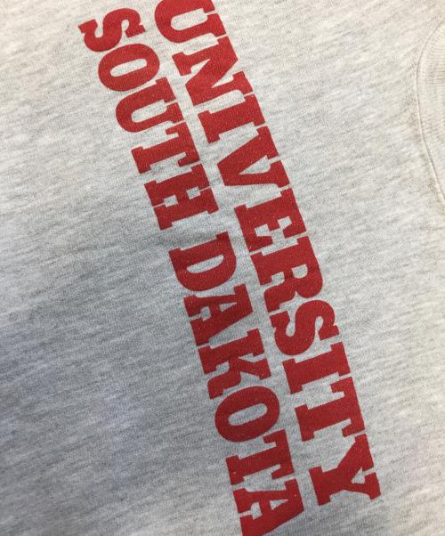 Champion（チャンピオン）Champion (チャンピオン) 2面プリント リバースウィーブスウェット グレー サイズ:XX‐LARGEの古着・服飾アイテム