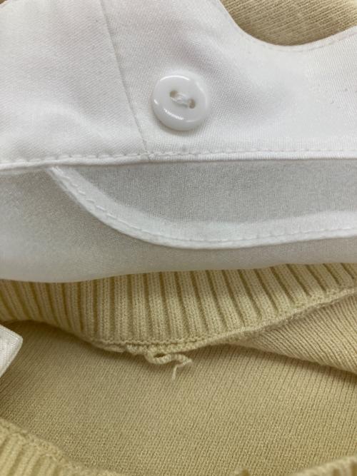 CELFORD（セルフォード）CELFORD (セルフォード) P.J. REDOUTE (ピエール・ジョセフ＝ルドゥーテ) エンブロイダリー衿付きニット ニットプルオーバー イエロー サイズ:SIZE 38の古着・服飾アイテム