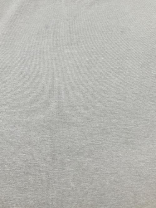 Plage（プラージュ）Plage (プラージュ) big スウェット　26年モデル グレー サイズ:Fの古着・服飾アイテム