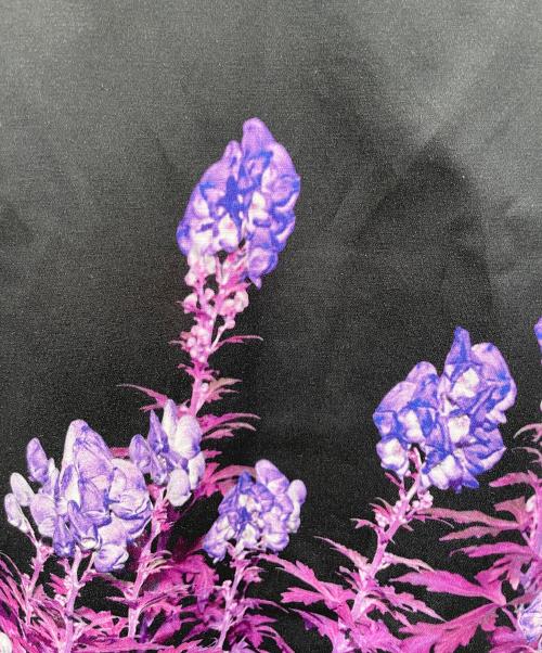 DRIES VAN NOTEN（ドリスヴァンノッテン）DRIES VAN NOTEN (ドリスヴァンノッテン) フラワープリントスカート ブラック サイズ:34の古着・服飾アイテム