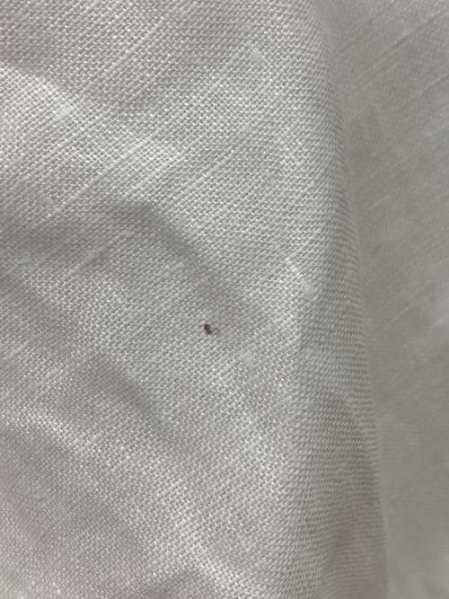 POLO RALPH LAUREN（ポロ・ラルフローレン）POLO RALPH LAUREN (ポロ・ラルフローレン) リネンシャツ ホワイト サイズ:4の古着・服飾アイテム