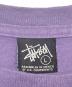 stussy (ステューシー) ボトルプリントTシャツ パープル サイズ:L：7000円