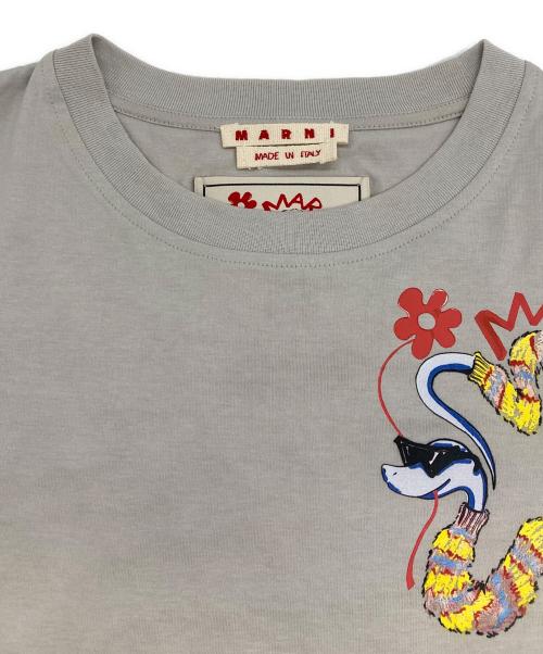 MARNI（マルニ）MARNI (マルニ) スネークプリントTシャツ グレー サイズ:SIZE 38の古着・服飾アイテム