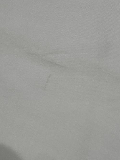 LE PHIL（ル フィル）LE PHIL (ル フィル) バックタックブラウス ホワイト サイズ:FREEの古着・服飾アイテム