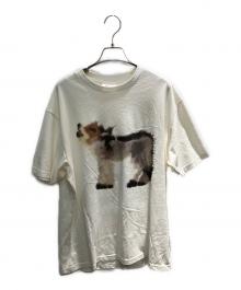 Wild Animals（ワイルド アニマルズ）の古着「Wolf Goats T-Shirt」｜アイボリー