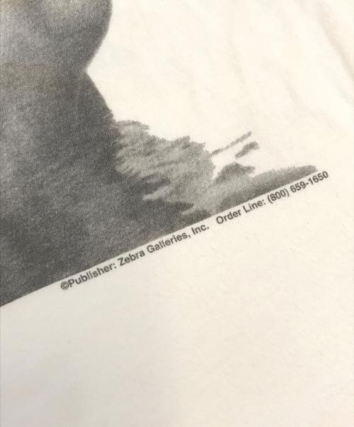 Hanes（ヘインズ）Hanes (ヘインズ) アートTシャツ ホワイト サイズ:XLの古着・服飾アイテム