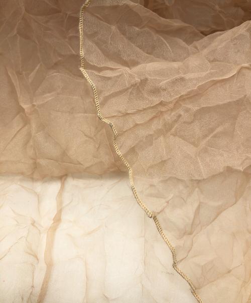 LEINWANDE（ラインヴァンド）LEINWANDE (ラインヴァンド) RECYCLE ORGANDY PLEATS DRESS ベージュ サイズ:FREEの古着・服飾アイテム