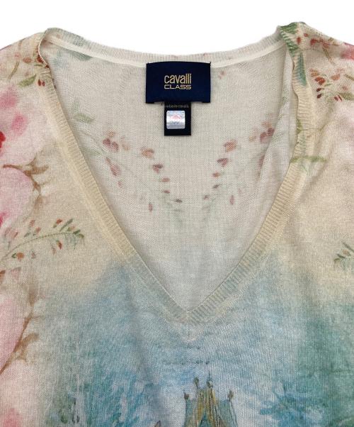 ROBERTO CAVALLI（ロベルトカヴァリ）ROBERTO CAVALLI (ロベルトカヴァリ) 総柄Vネックニット ベージュ サイズ:SIZE 46の古着・服飾アイテム