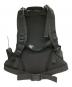 ARC'TERYX (アークテリクス) BEAMS (ビームス) リュック：15000円