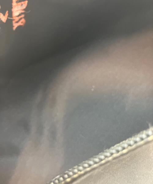 ARC'TERYX（アークテリクス）ARC'TERYX (アークテリクス) BEAMS (ビームス) ARRO 22 バックパック ブラックの古着・服飾アイテム