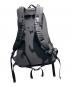 ARC'TERYX (アークテリクス) BEAMS (ビームス) ARRO 22 バックパック ブラック：25000円