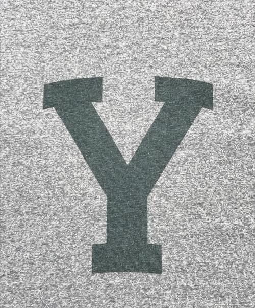 blurhms ROOTSTOCK（ブラームスルーツストック）blurhms ROOTSTOCK (ブラームスルーツストック) Cotton Rayon 88/12 Print Tee/半袖カットソー グレー サイズ:2の古着・服飾アイテム