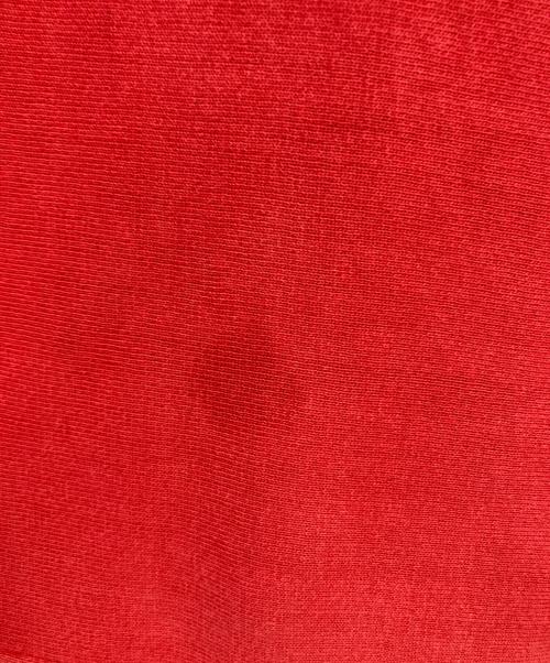 Champion（チャンピオン）Champion (チャンピオン) リバースウィーブスウェット レッド サイズ:Mの古着・服飾アイテム
