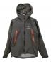 ARC'TERYX（アークテリクス）の古着「Beta LT JACKET」｜グレー