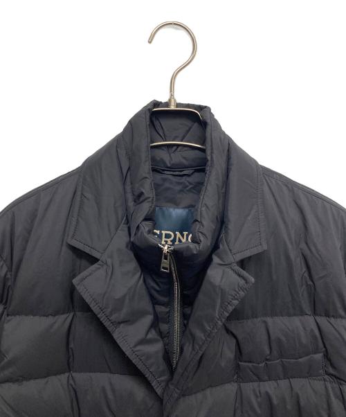 HERNO（ヘルノ）HERNO (ヘルノ) ダウンジャケット ブラック サイズ:48の古着・服飾アイテム