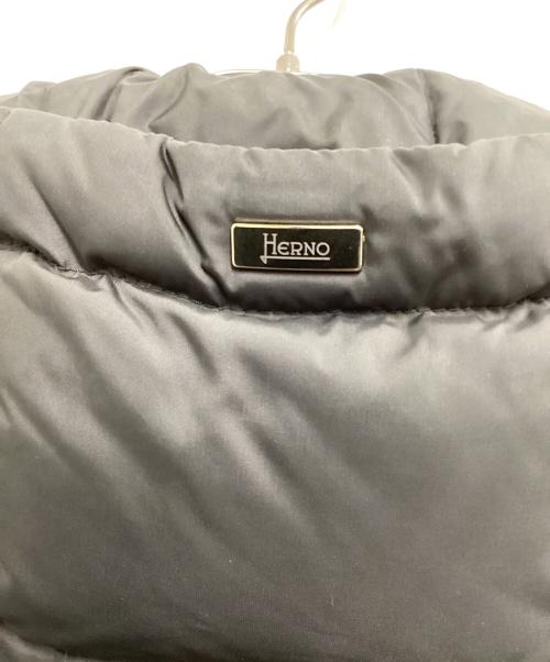 HERNO（ヘルノ）HERNO (ヘルノ) ダウンコート グレー サイズ:40の古着・服飾アイテム