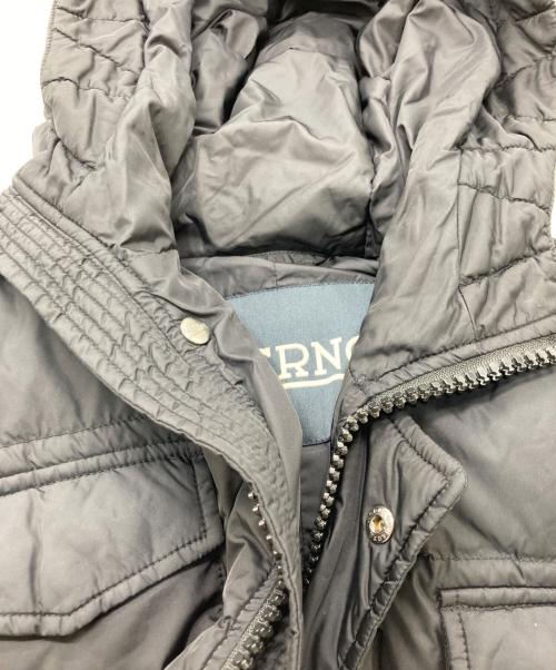 HERNO（ヘルノ）HERNO (ヘルノ) POLAR TECH 4ポケットフードダウンジャケット ブラック サイズ:48の古着・服飾アイテム