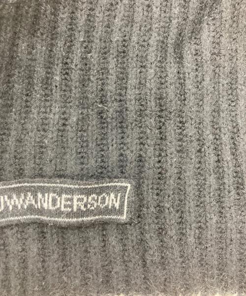 J.W.ANDERSON（ジェイダブリューアンダーソン）J.W.ANDERSON (ジェイダブリューアンダーソン) BUMPER-TUBE KNITTED BEANIE ブラック サイズ:ONESIZEの古着・服飾アイテム
