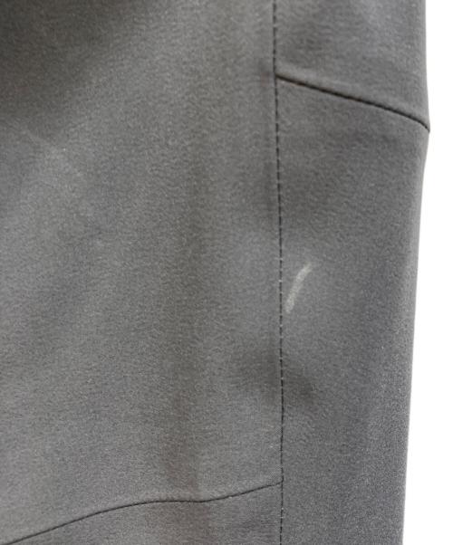 ARC'TERYX（アークテリクス）ARC'TERYX (アークテリクス) PROCLINE PANT グレー サイズ:SIZE Lの古着・服飾アイテム
