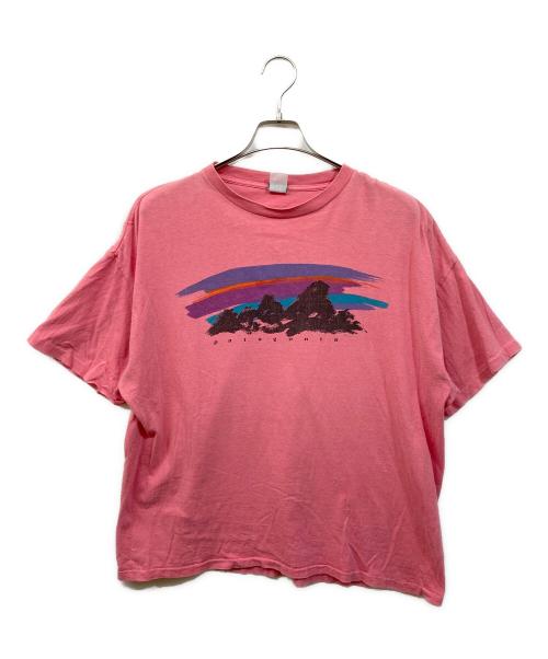 Patagonia（パタゴニア）Patagonia (パタゴニア) グラフィックプリントTシャツ ピンク サイズ:サイズ表記無しの古着・服飾アイテム