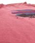 中古・古着 Patagonia (パタゴニア) グラフィックプリントTシャツ ピンク サイズ:サイズ表記無し：7000円