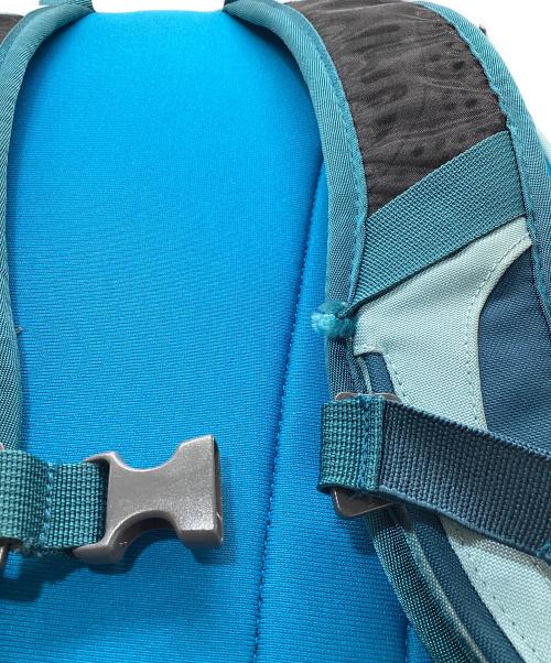 THE NORTH FACE（ザ ノース フェイス）THE NORTH FACE (ザ ノース フェイス) リュック スカイブルーの古着・服飾アイテム