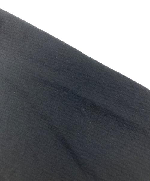 THE NORTH FACE（ザ ノース フェイス）THE NORTH FACE (ザ ノース フェイス) SWALLOWTAIL HOODIE ブラック サイズ:SIZE Mの古着・服飾アイテム