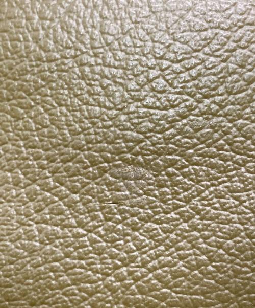 nori enomoto（ノリ エノモト）nori enomoto (ノリ エノモト) スマートフォンショルダーバッグ カーキの古着・服飾アイテム