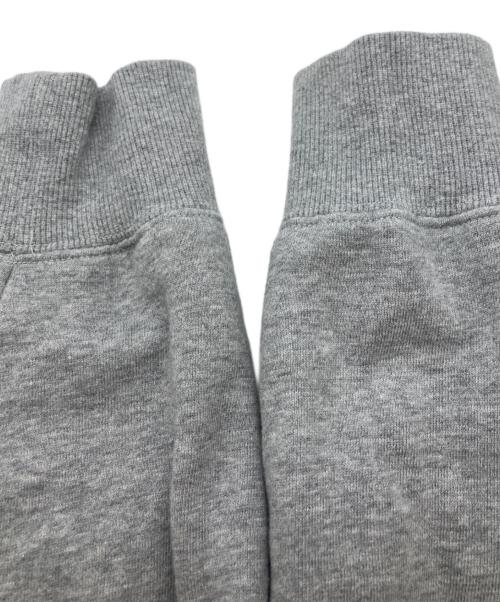 THE NORTH FACE（ザ ノース フェイス）THE NORTH FACE (ザ ノース フェイス) REARVIEW FULL ZIP HOODIE グレー サイズ:	SIZE Mの古着・服飾アイテム