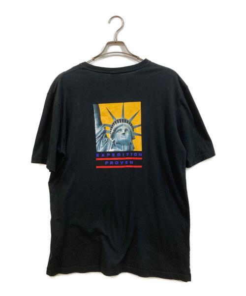 THE NORTH FACE（ザ ノース フェイス）THE NORTH FACE (ザ ノース フェイス) SUPREME (シュプリーム) STATUE TEE ブラック サイズ:Lの古着・服飾アイテム