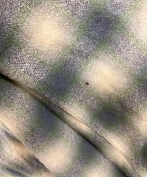 PENDLETON（ペンドルトン）PENDLETON (ペンドルトン) チェックボードシャツ マルチカラー サイズ:Lの古着・服飾アイテム