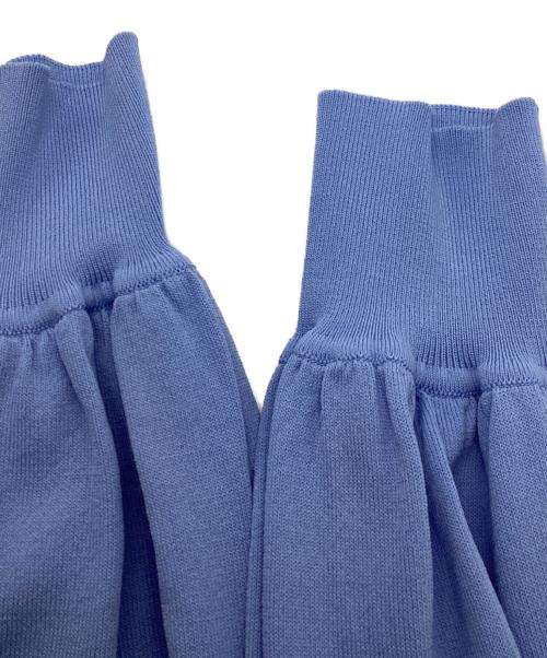 ANAYI（アナイ）ANAYI (アナイ) アイビーレースポロ衿ニット スカイブルー サイズ:	SIZE 38の古着・服飾アイテム