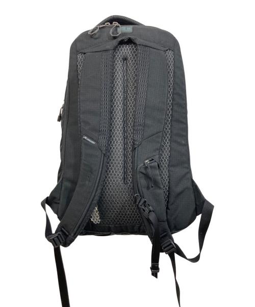 GREGORY（グレゴリー）GREGORY (グレゴリー) RHUNE22L バックパック ブラックの古着・服飾アイテム