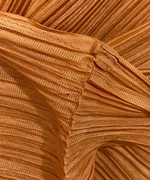 ISSEY MIYAKE（イッセイミヤケ）ISSEY MIYAKE (イッセイミヤケ) プリーツカットソー オレンジ サイズ:	SIZE Lの古着・服飾アイテム