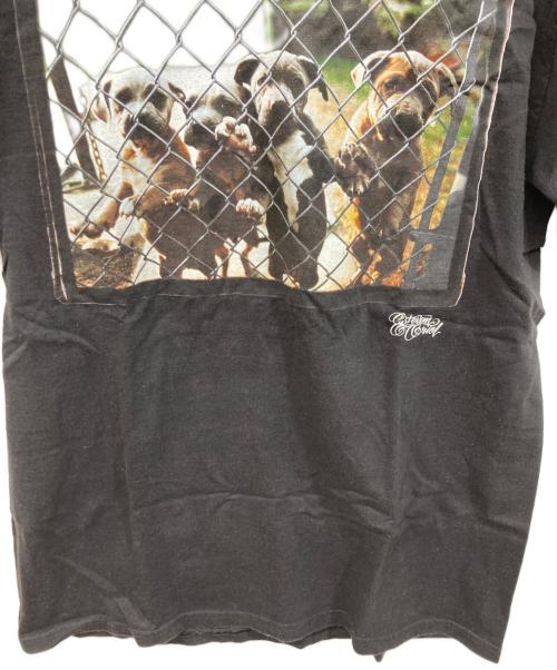 stussy（ステューシー）stussy (ステューシー) Tシャツ ブラック サイズ:	SIZE Mの古着・服飾アイテム