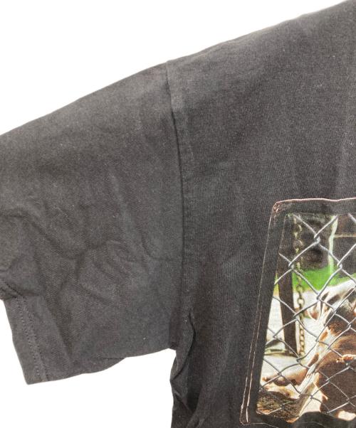 stussy（ステューシー）stussy (ステューシー) Tシャツ ブラック サイズ:	SIZE Mの古着・服飾アイテム