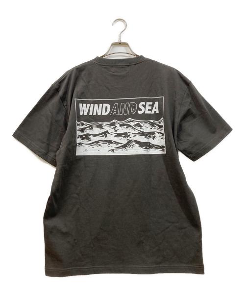 WIND AND SEA（ウィンダンシー）WIND AND SEA (ウィンダンシー) ロゴTシャツ グレー サイズ:Lの古着・服飾アイテム