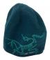 ARC'TERYX（アークテリクス）の古着「BIRD HEAD TOQUE」｜グリーン