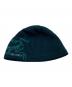 中古・古着 ARC'TERYX (アークテリクス) BIRD HEAD TOQUE グリーン：5000円
