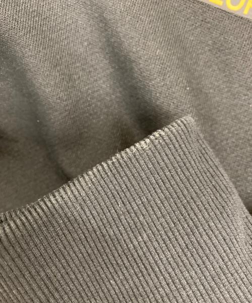 THE NORTH FACE（ザ ノース フェイス）THE NORTH FACE (ザ ノース フェイス) Front Half DOME Hoodie　NT62136 ブラック サイズ:Mの古着・服飾アイテム