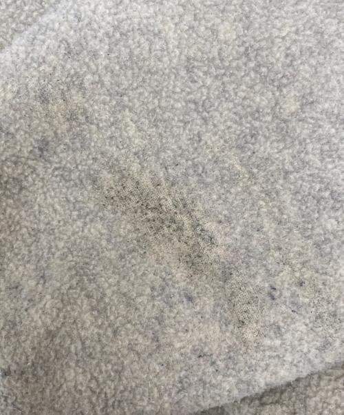 Patagonia（パタゴニア）Patagonia (パタゴニア) スウェット ベージュ サイズ:Lの古着・服飾アイテム