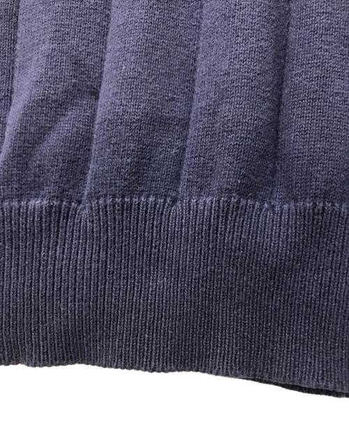POLO GOLF（ポロ ゴルフ）POLO GOLF (ポロ ゴルフ) ニットベスト ネイビー サイズ:Lの古着・服飾アイテム