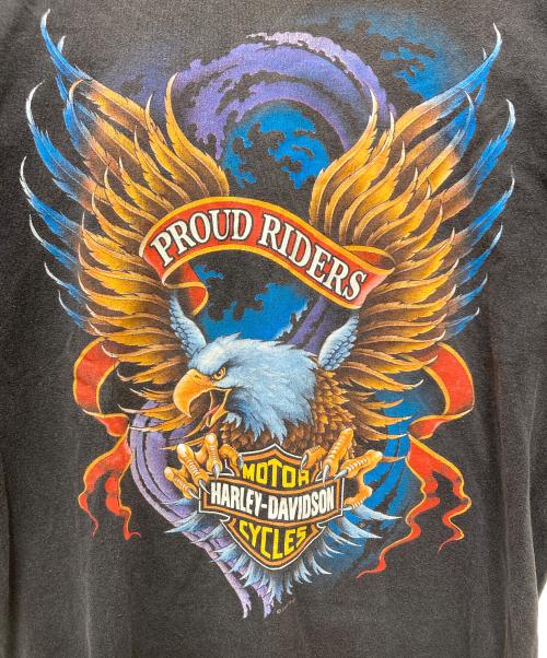 HARLEY-DAVIDSON（ハーレーダビッドソン）HARLEY-DAVIDSON (ハーレーダビッドソン) HOLOUBEK プリントTシャツ グレー サイズ:Mの古着・服飾アイテム