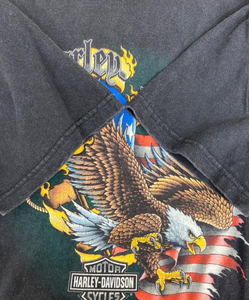 HARLEY-DAVIDSON（ハーレーダビッドソン）HARLEY-DAVIDSON (ハーレーダビッドソン) HOLOUBEK プリントTシャツ ブラック サイズ:Mの古着・服飾アイテム