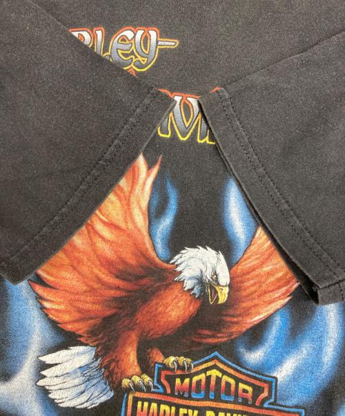HARLEY-DAVIDSON（ハーレーダビッドソン）HARLEY-DAVIDSON (ハーレーダビッドソン) HOLOUBEK プリントTシャツ ブラック サイズ:Mの古着・服飾アイテム