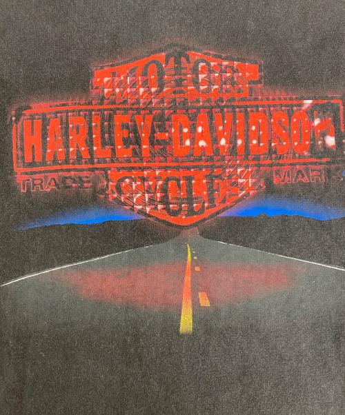 HARLEY-DAVIDSON（ハーレーダビッドソン）HARLEY-DAVIDSON (ハーレーダビッドソン) HOLOUBEK プリントTシャツ ブラック サイズ:Mの古着・服飾アイテム