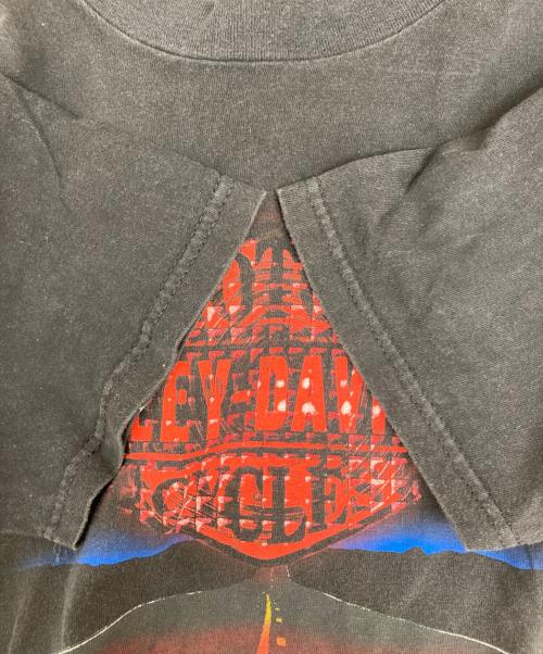 HARLEY-DAVIDSON（ハーレーダビッドソン）HARLEY-DAVIDSON (ハーレーダビッドソン) HOLOUBEK プリントTシャツ ブラック サイズ:Mの古着・服飾アイテム