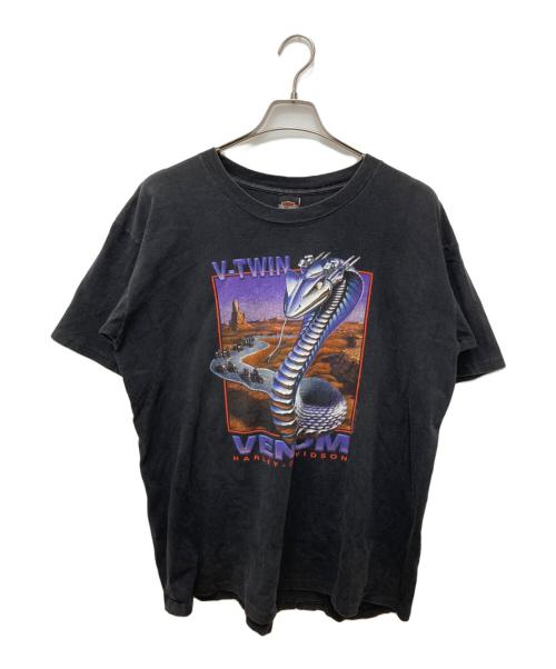HARLEY-DAVIDSON（ハーレーダビッドソン）HARLEY-DAVIDSON (ハーレーダビッドソン) HOLOUBEK プリントTシャツ ブラック サイズ:Lの古着・服飾アイテム