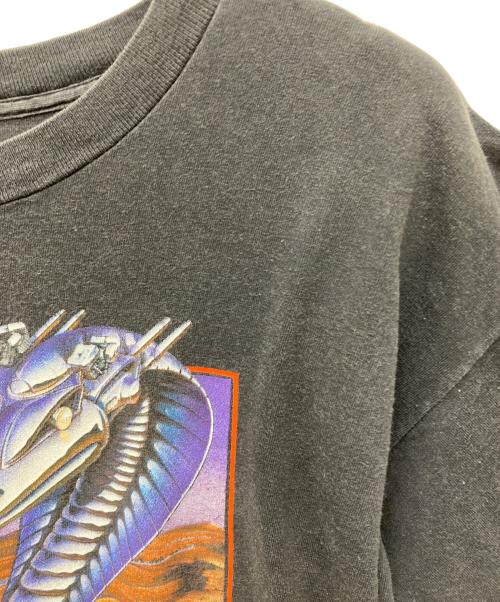 HARLEY-DAVIDSON（ハーレーダビッドソン）HARLEY-DAVIDSON (ハーレーダビッドソン) HOLOUBEK プリントTシャツ ブラック サイズ:Lの古着・服飾アイテム